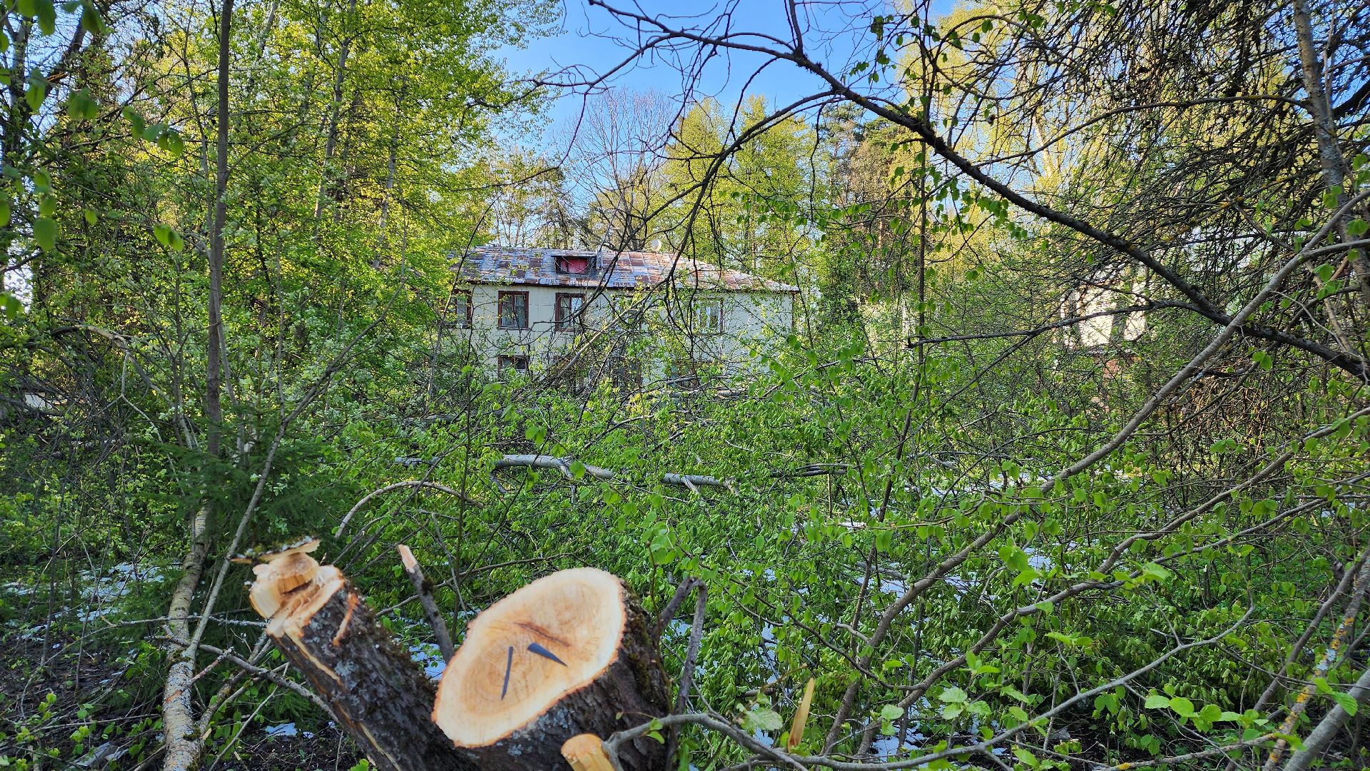 истра, ликвидация последствий непогоды, взу,