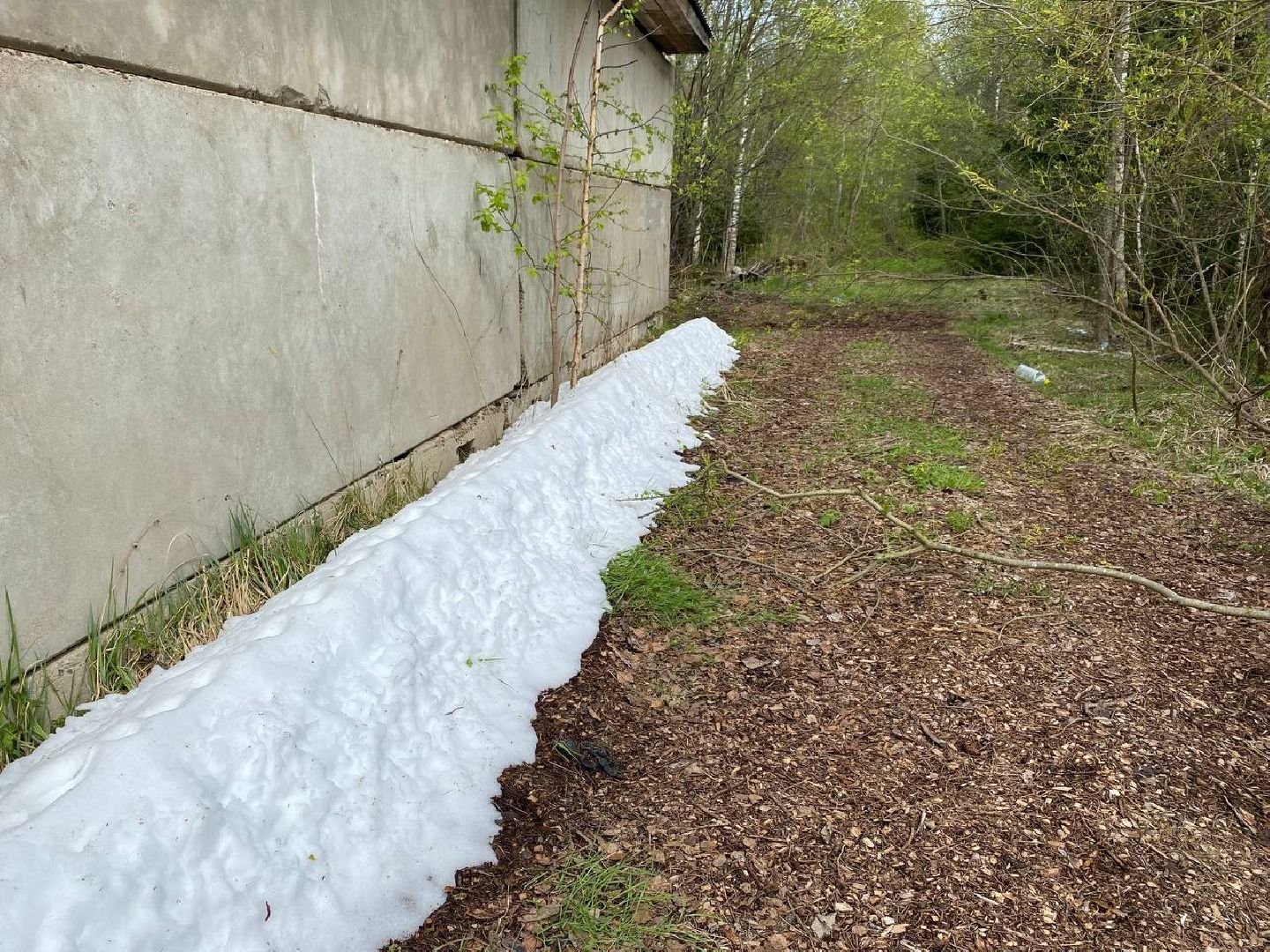 ураган в Талдоме, снегопал в Талдоме, ЧС в Талдоме,