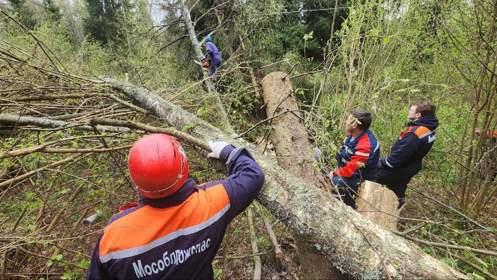 Дмитров, Россети, ЧП, Циклон, Болотоход,