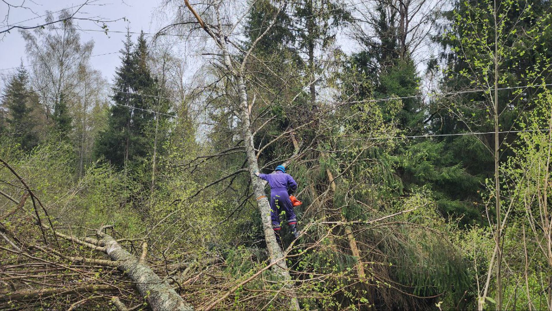 Дмитров, Россети, ЧП, Циклон, Болотоход,