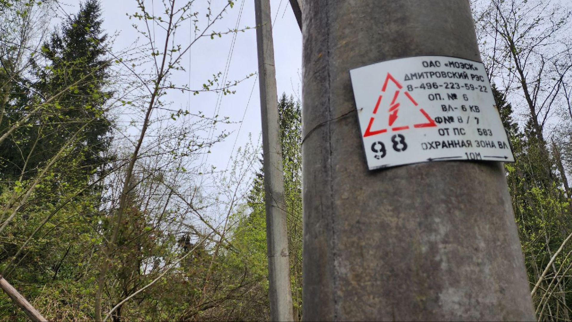 Дмитров, Россети, ЧП, Циклон, Болотоход,