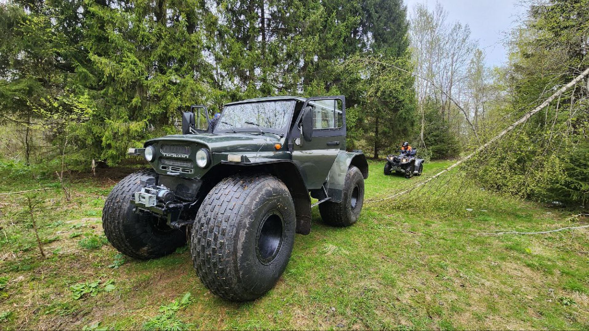 Дмитров, Россети, ЧП, Циклон, Болотоход,