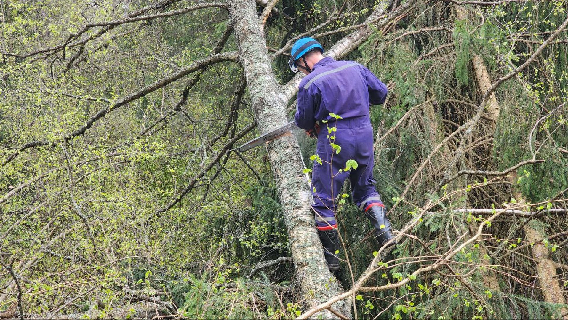 Дмитров, Россети, ЧП, Циклон, Болотоход,
