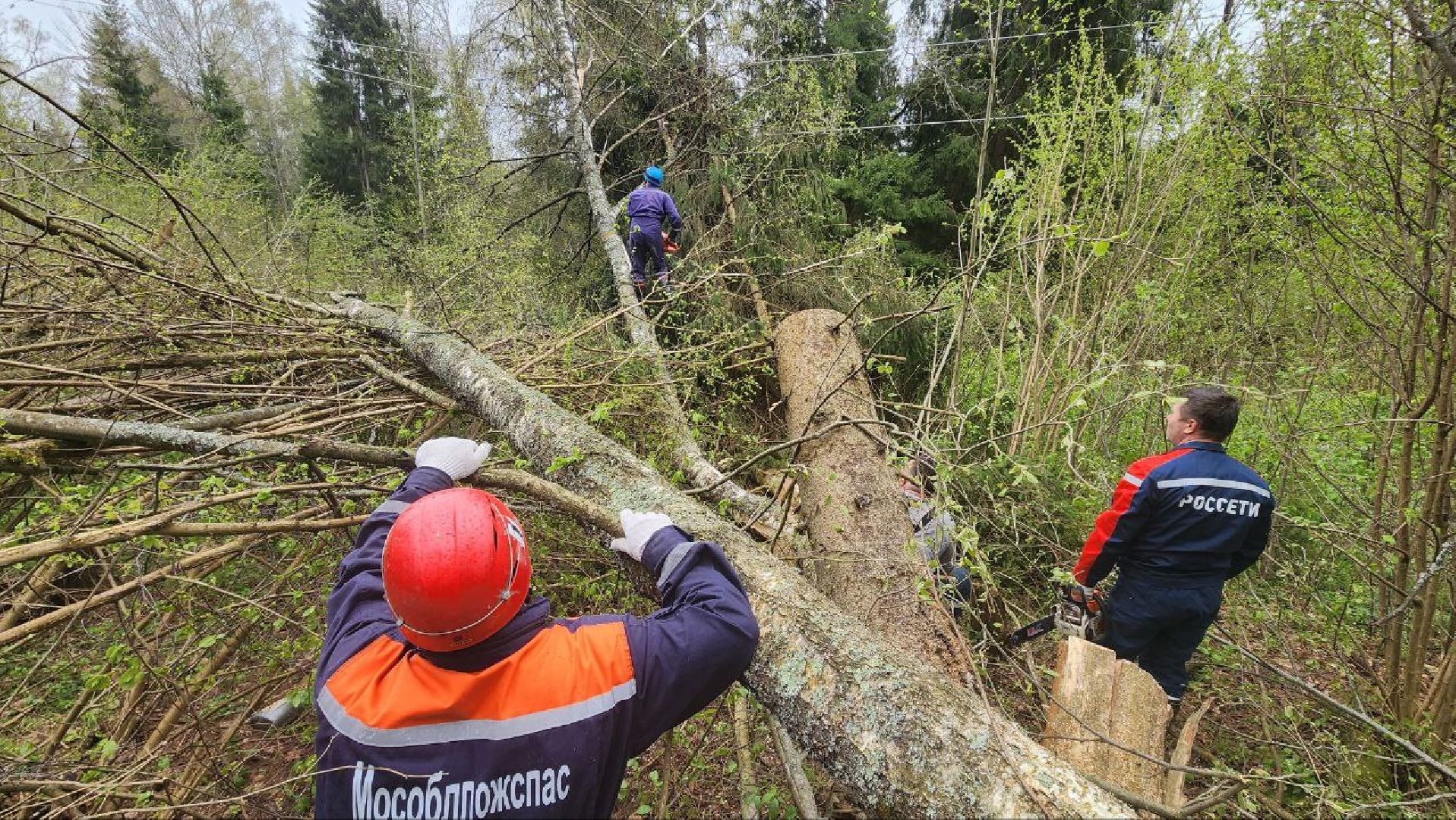 Дмитров, Россети, ЧП, Циклон, Болотоход,