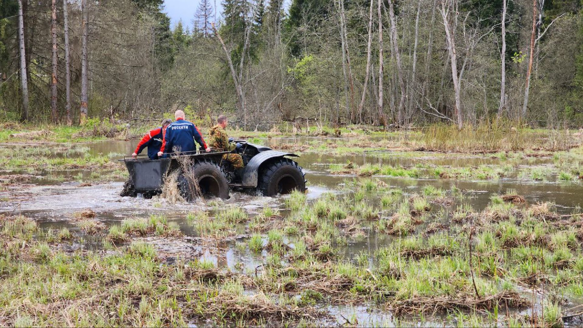 Дмитров, Россети, ЧП, Циклон, Болотоход,