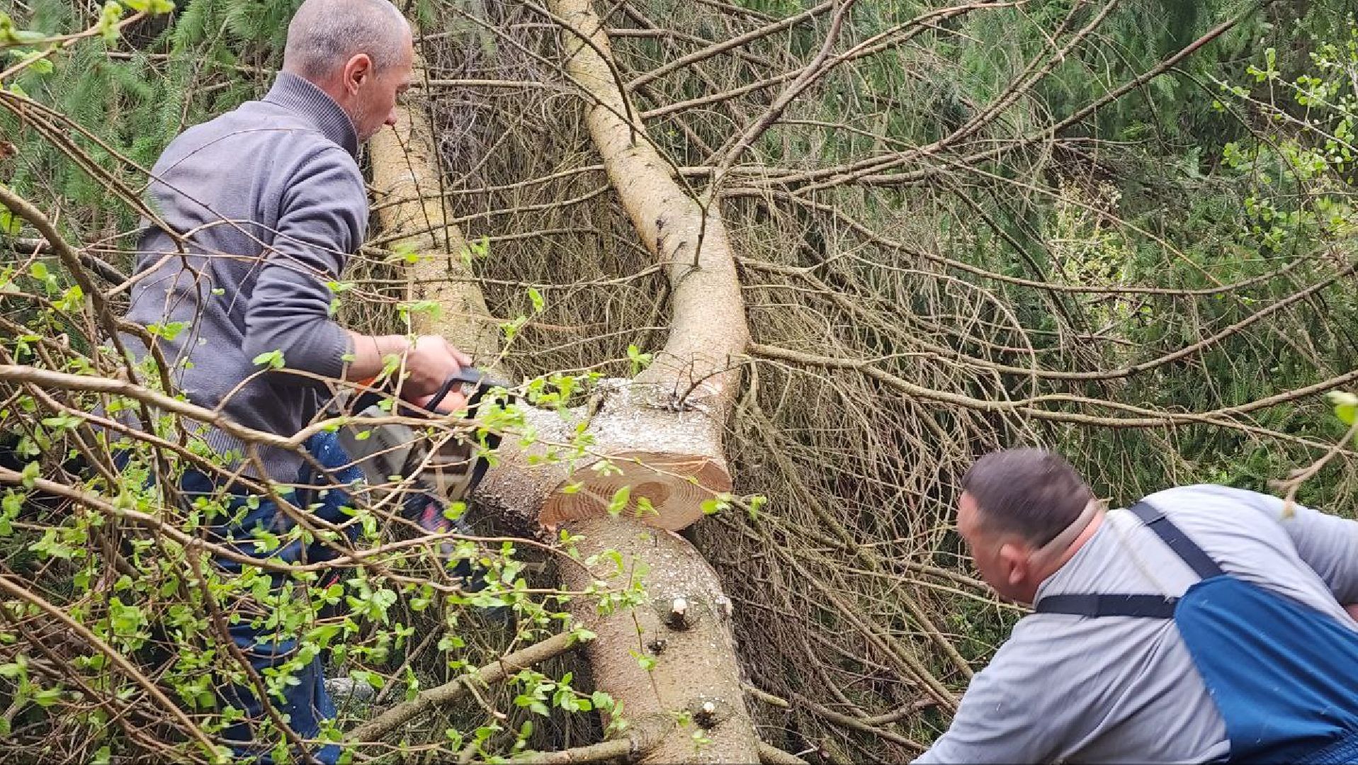 Дмитров, Россети, ЧП, Циклон, Болотоход,