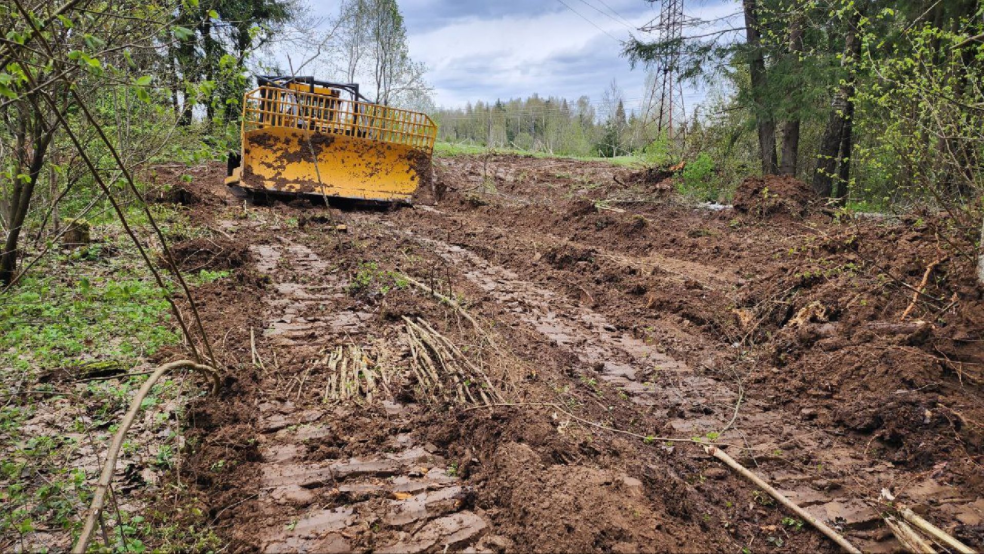 Дмитров, Россети, ЧП, Циклон, Болотоход,