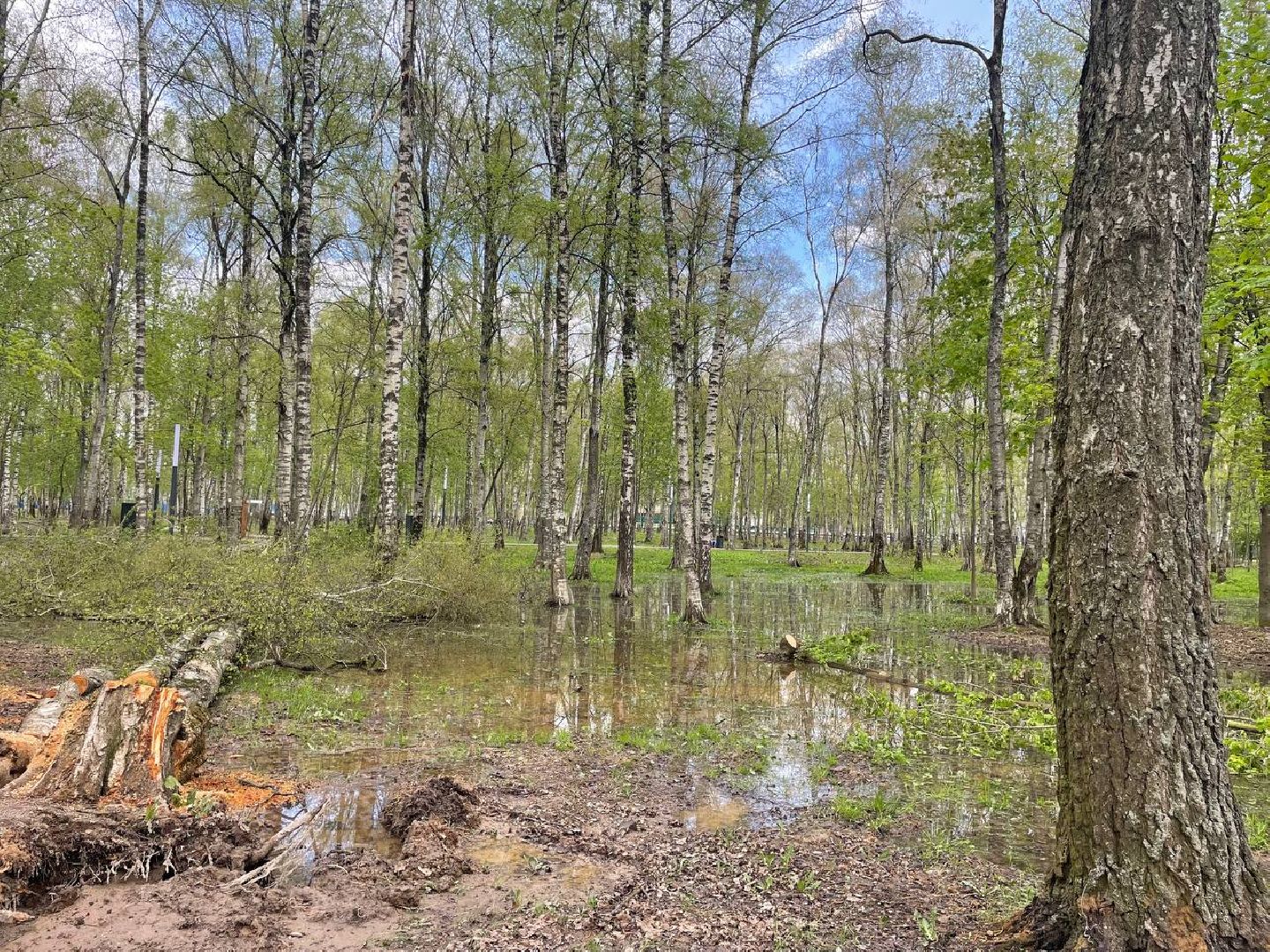 жкх, парк, вода,