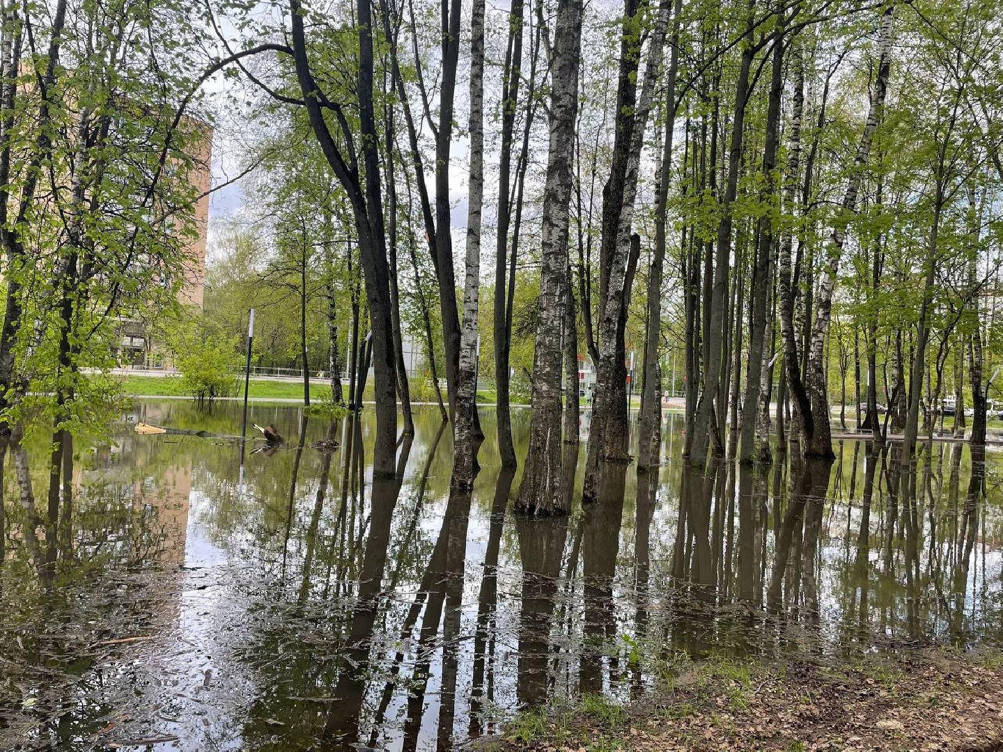 жкх, парк, вода,