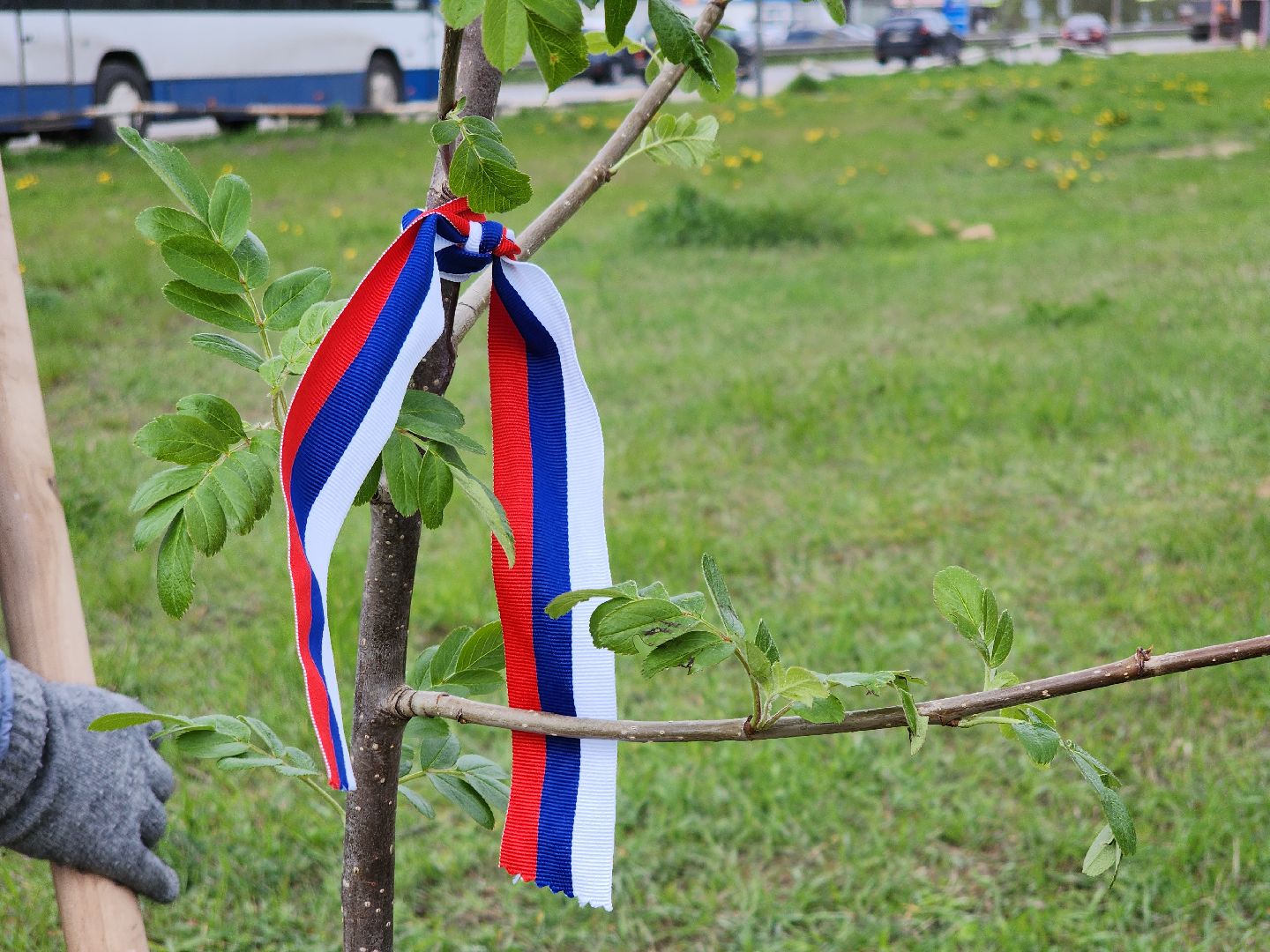 Черноголовка, Сад Победы, Патриотизм,