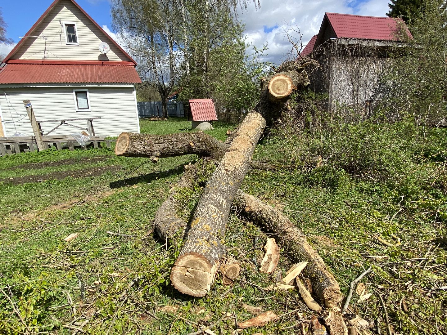 ликвидация последствий урагана, непогода в Талдоме,