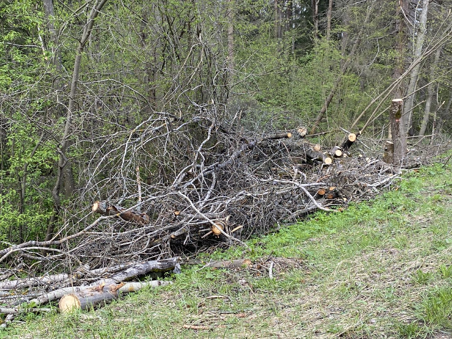 ликвидация последствий урагана, непогода в Талдоме,