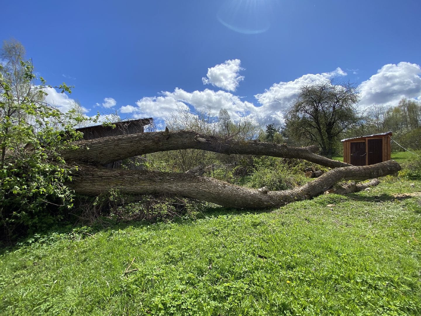 ликвидация последствий урагана, непогода в Талдоме,