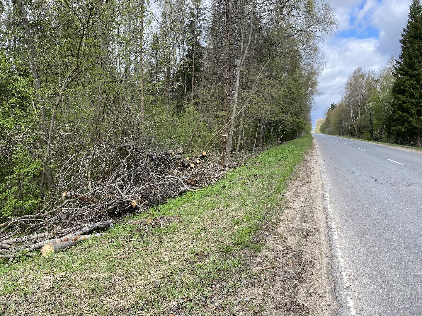 ликвидация последствий урагана, непогода в Талдоме,