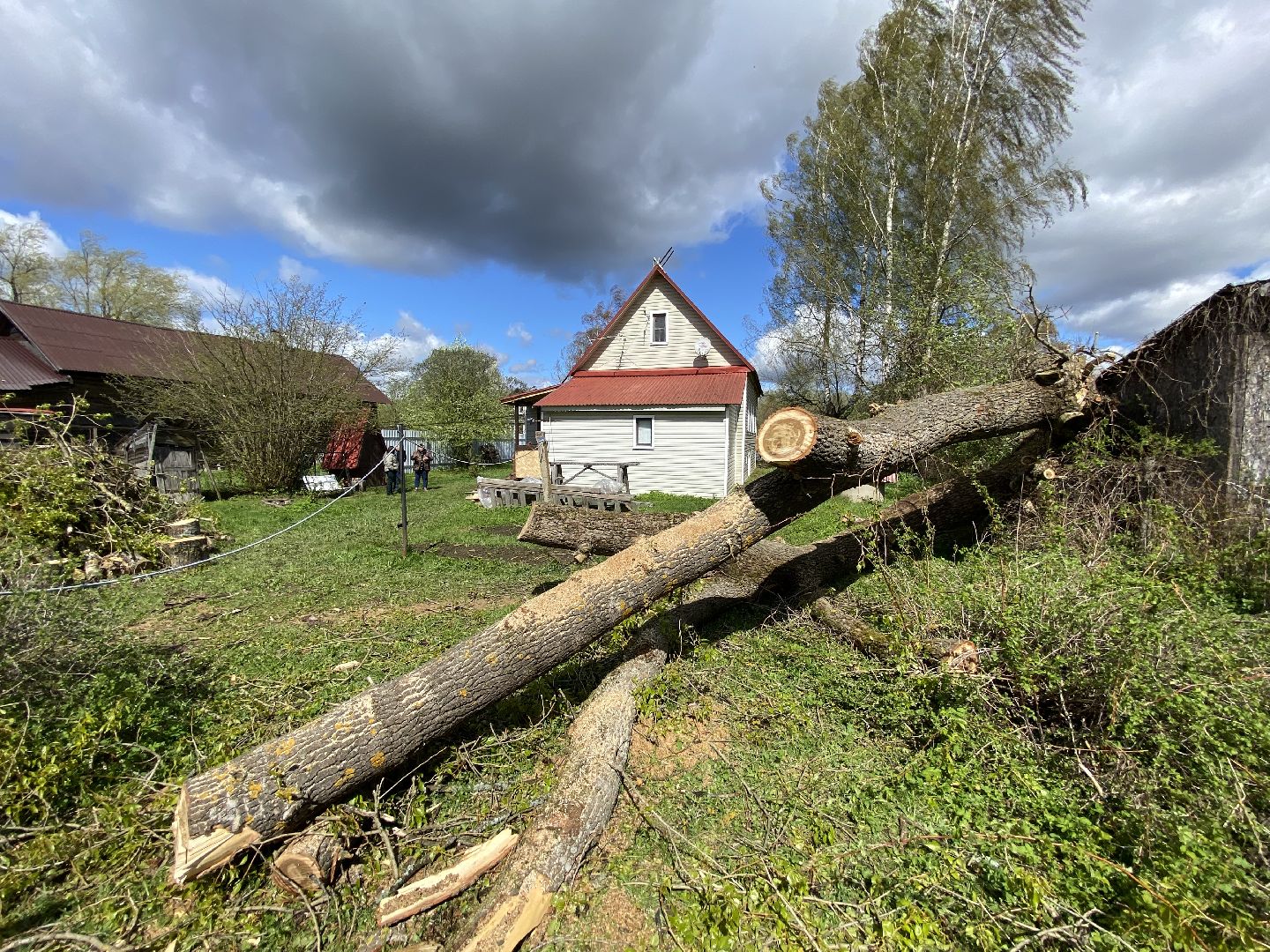 ликвидация последствий урагана, непогода в Талдоме,