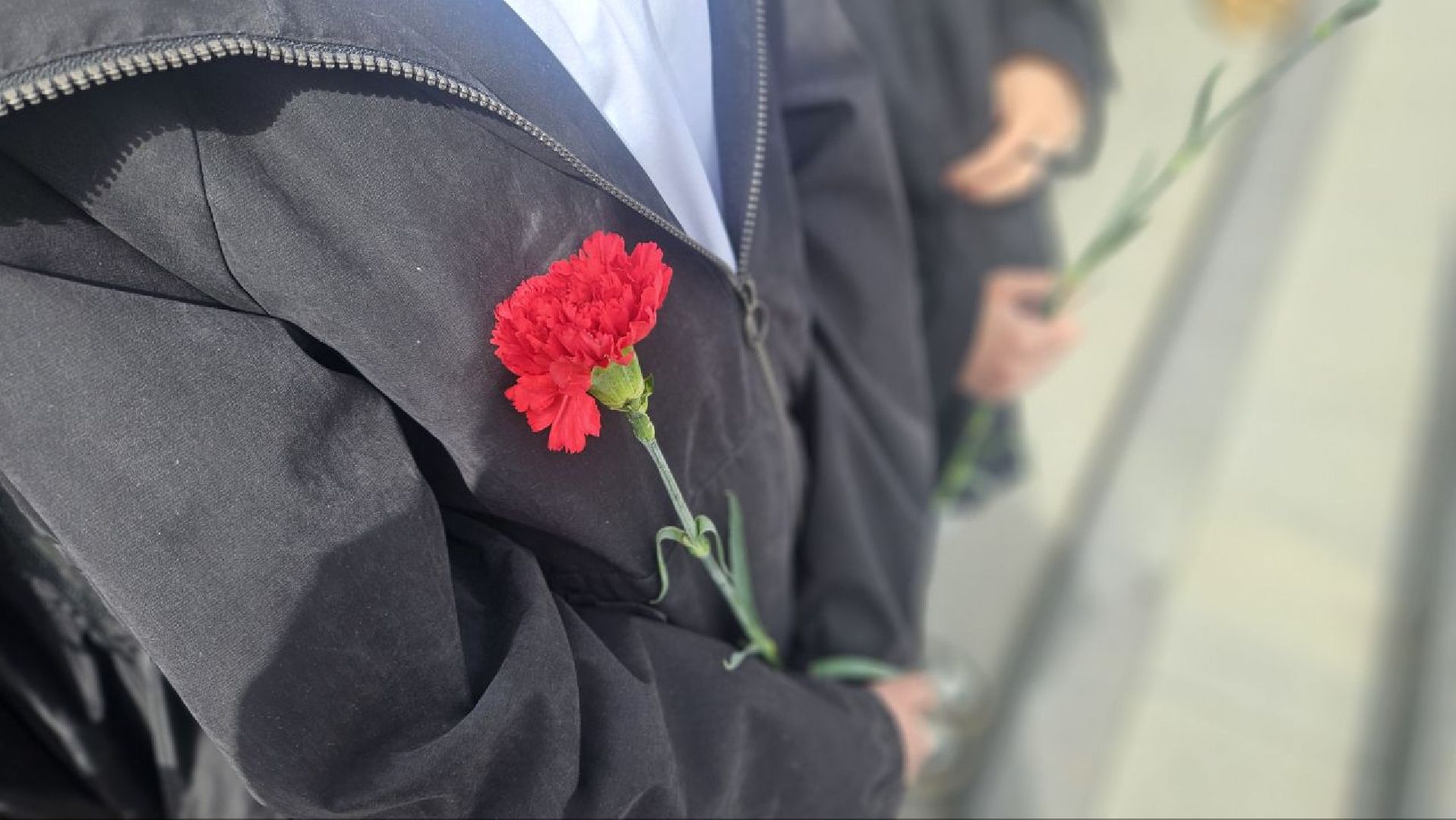 9 мая, митинг, жуковский,