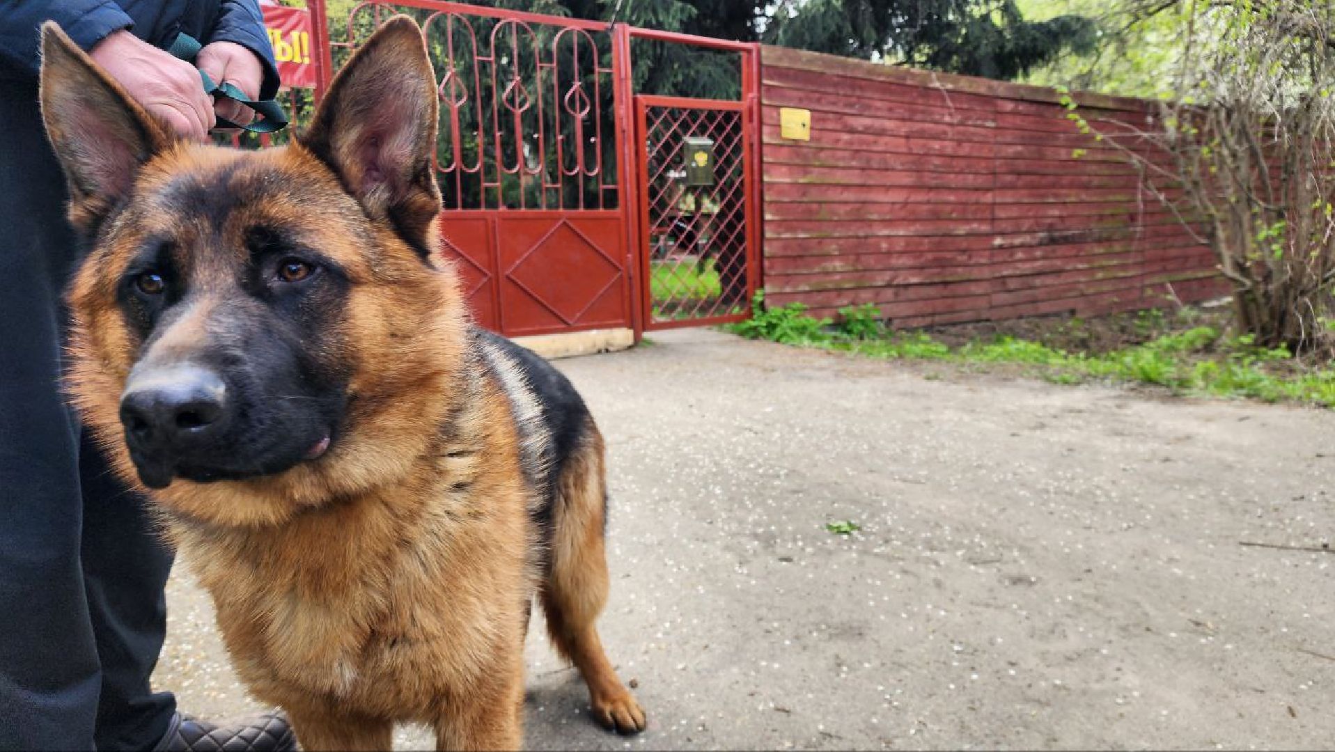 домодедово, война, память, табличка,