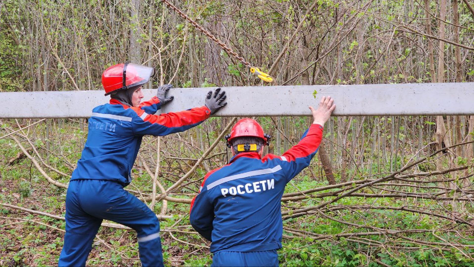 Дмитров, Россети, ЧП, Циклон,