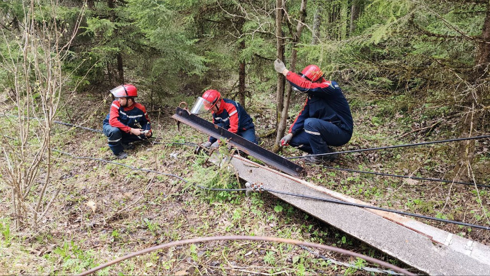 Дмитров, Россети, ЧП, Циклон,