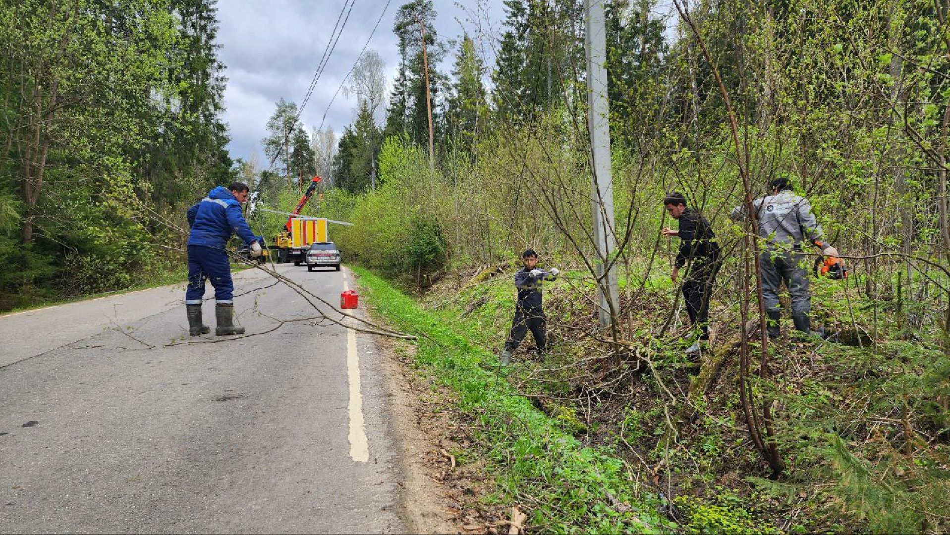Дмитров, Россети, ЧП, Циклон,