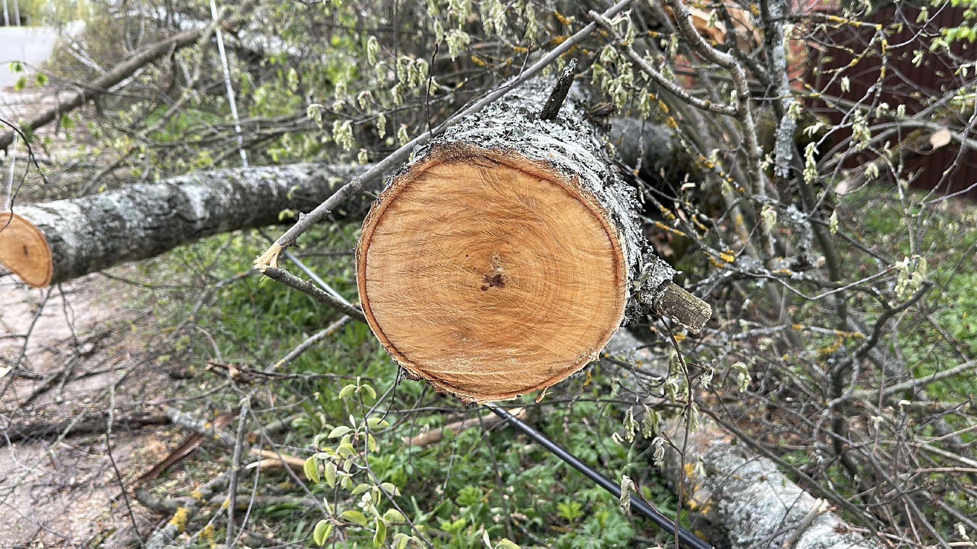 клин, общество, жкх, чп, электроэнергия, устранение последствий снегопада,