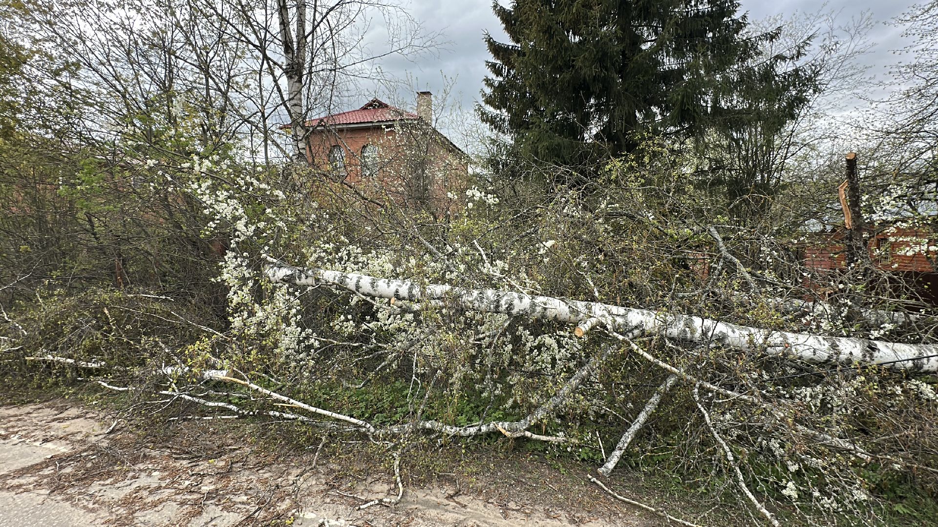 клин, общество, жкх, чп, электроэнергия, устранение последствий снегопада,