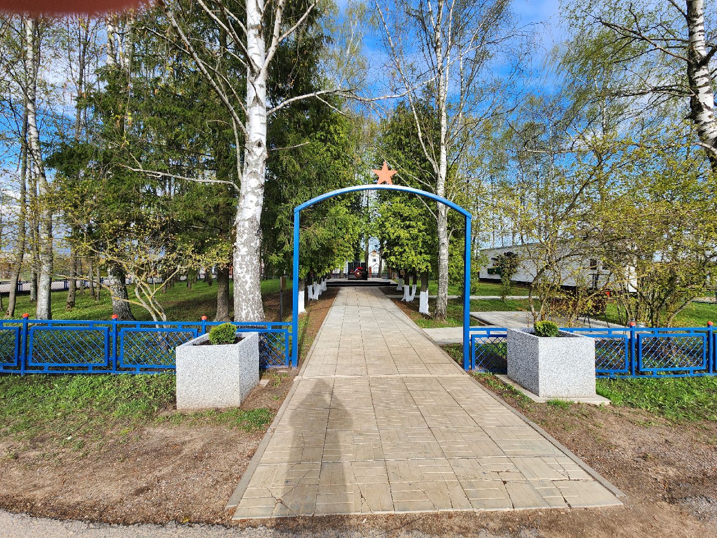 дмитров, белый раст, аккумулятор, вода, волонтеры, последствия непогоды,