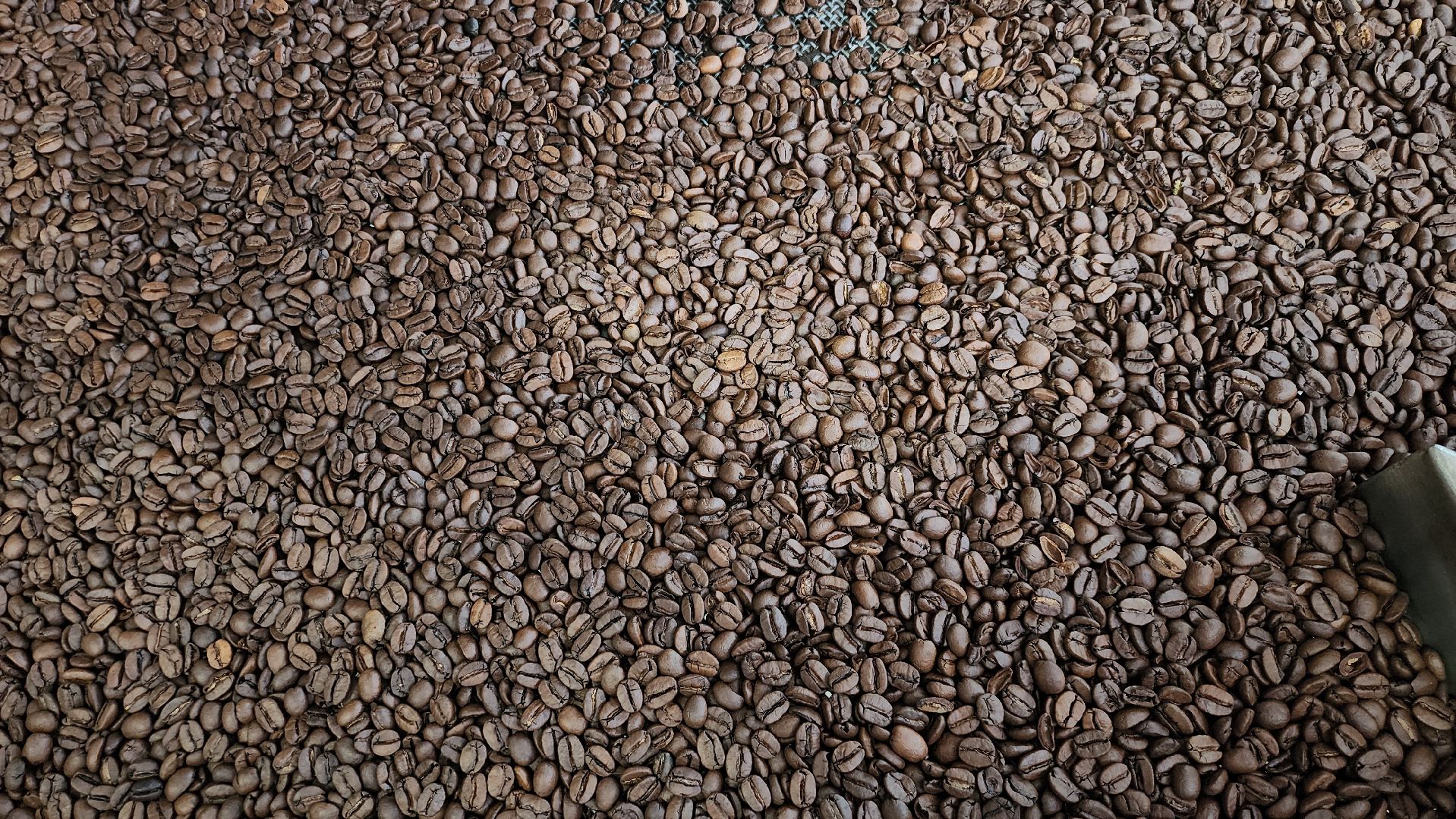 руза, тучково, экономика, московская кофейня на паяхъ,