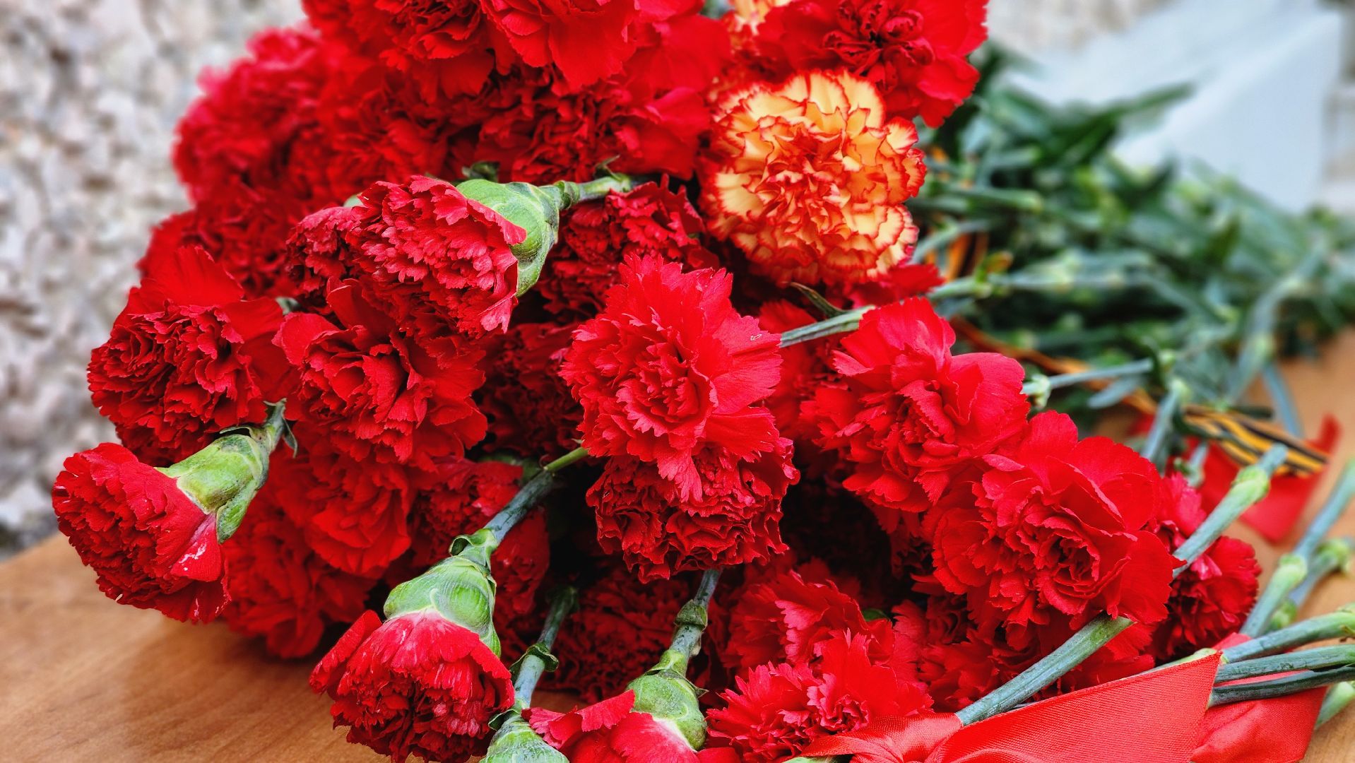 Руза, гимназия 1 рузы, мемориальная доска, Герой сво, Спецоперация,