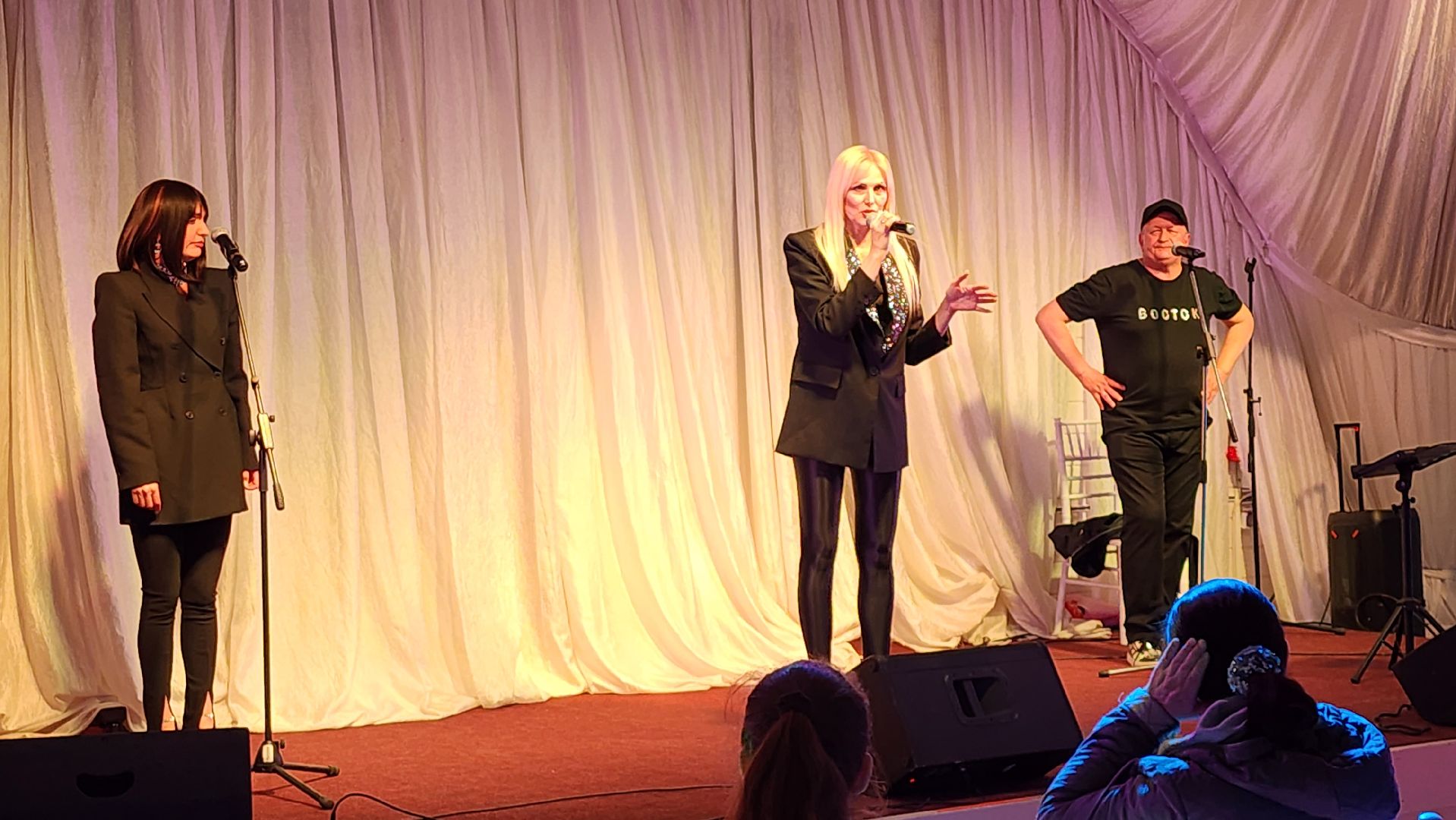 праздничный концерт, усадьба гребнево, щёлково,