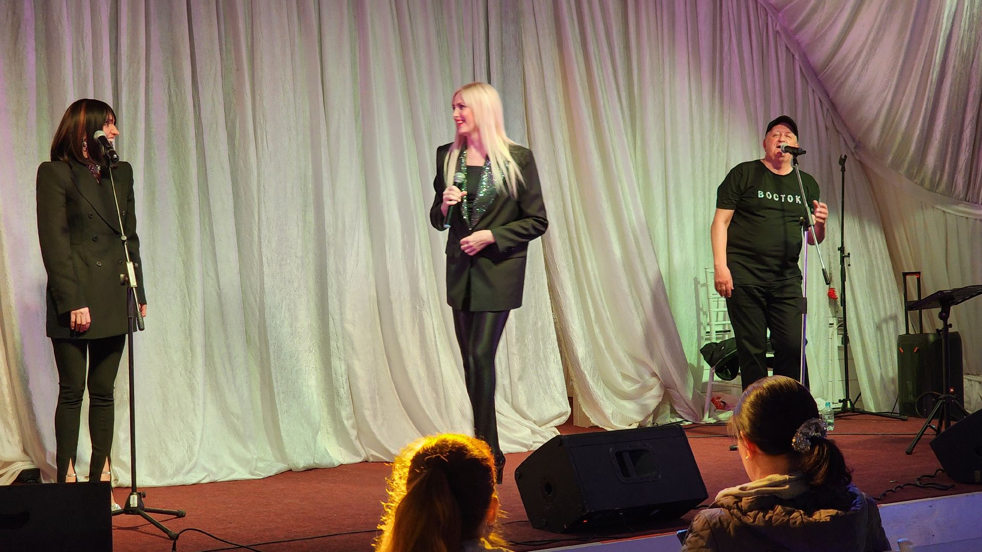 праздничный концерт, усадьба гребнево, щёлково,