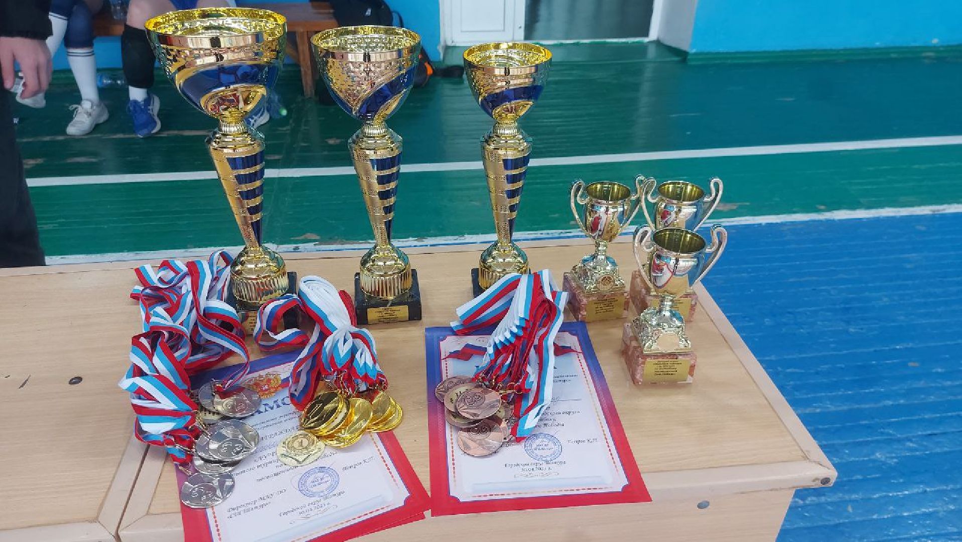 спорт, волейбол, женский, Шатура, Энергия