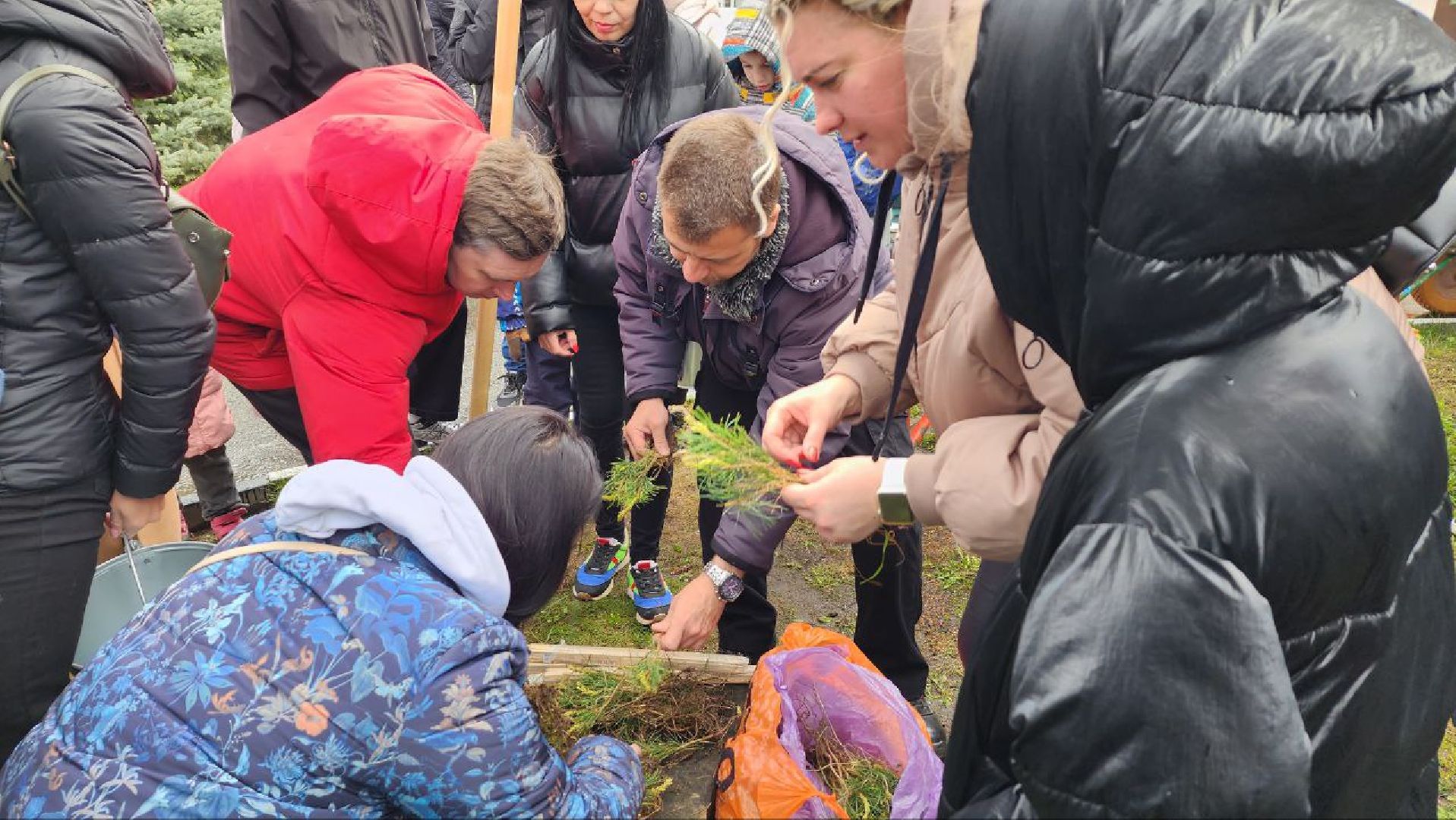 Дмитров, Дмитровская больница, Дом рождения,Аллея многодетных семей,