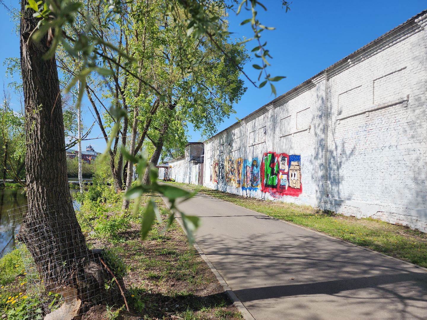 Егорьевск, Подмосковье, Московская область, мурал,