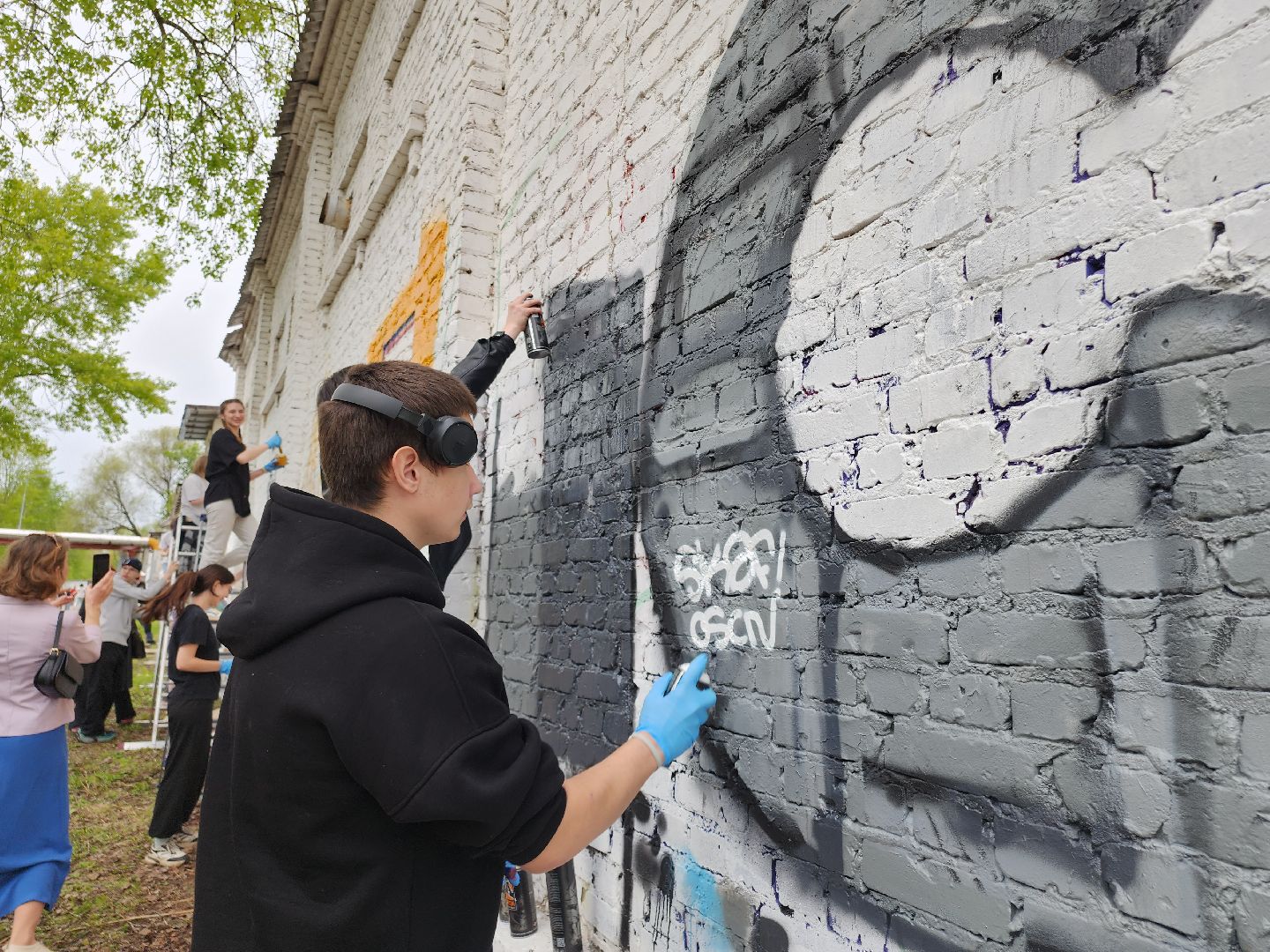 Егорьевск, Подмосковье, Московская область, мурал,