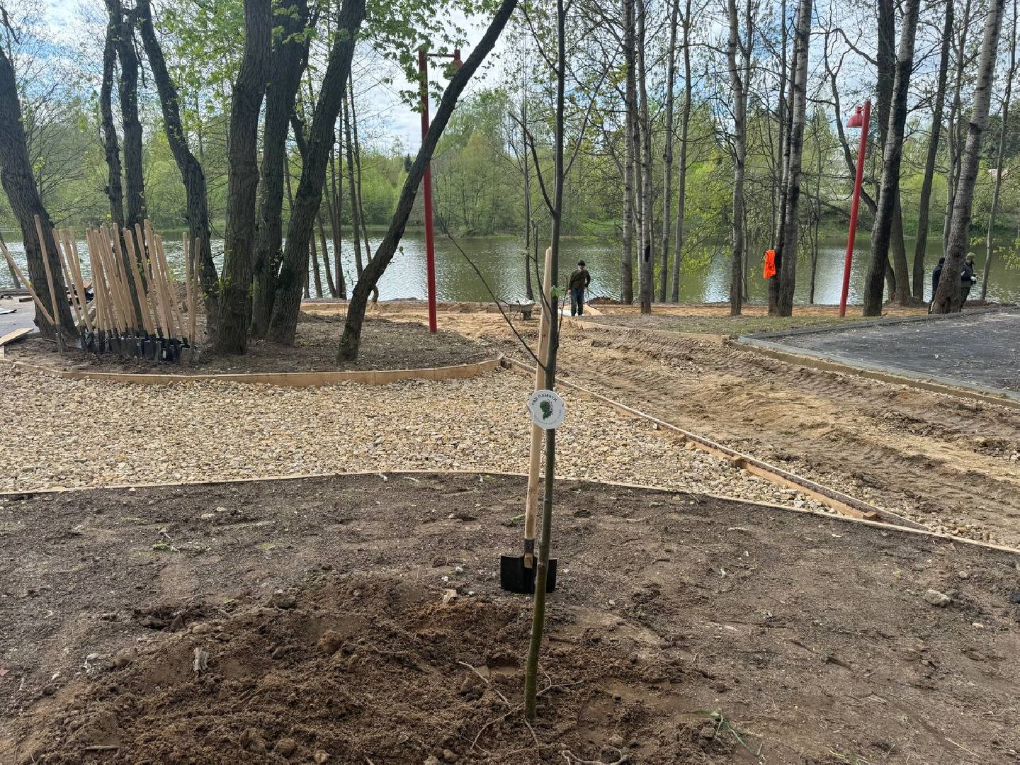 сад памяти, акция, посадка деревьев, кучинский лесопарк,