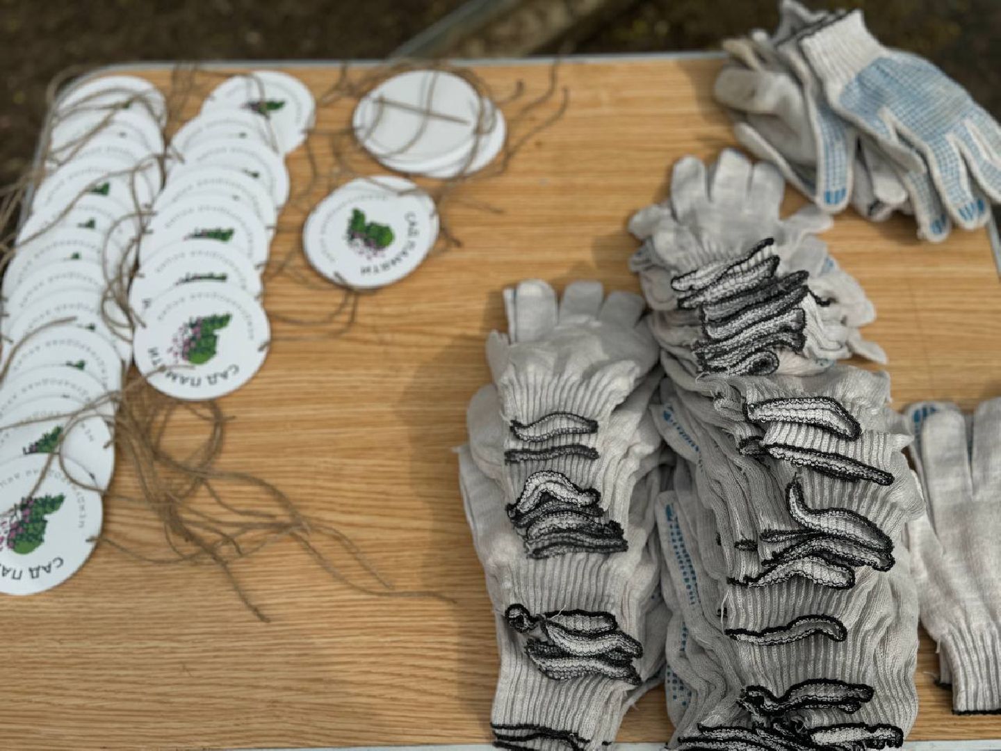 сад памяти, акция, посадка деревьев, кучинский лесопарк,