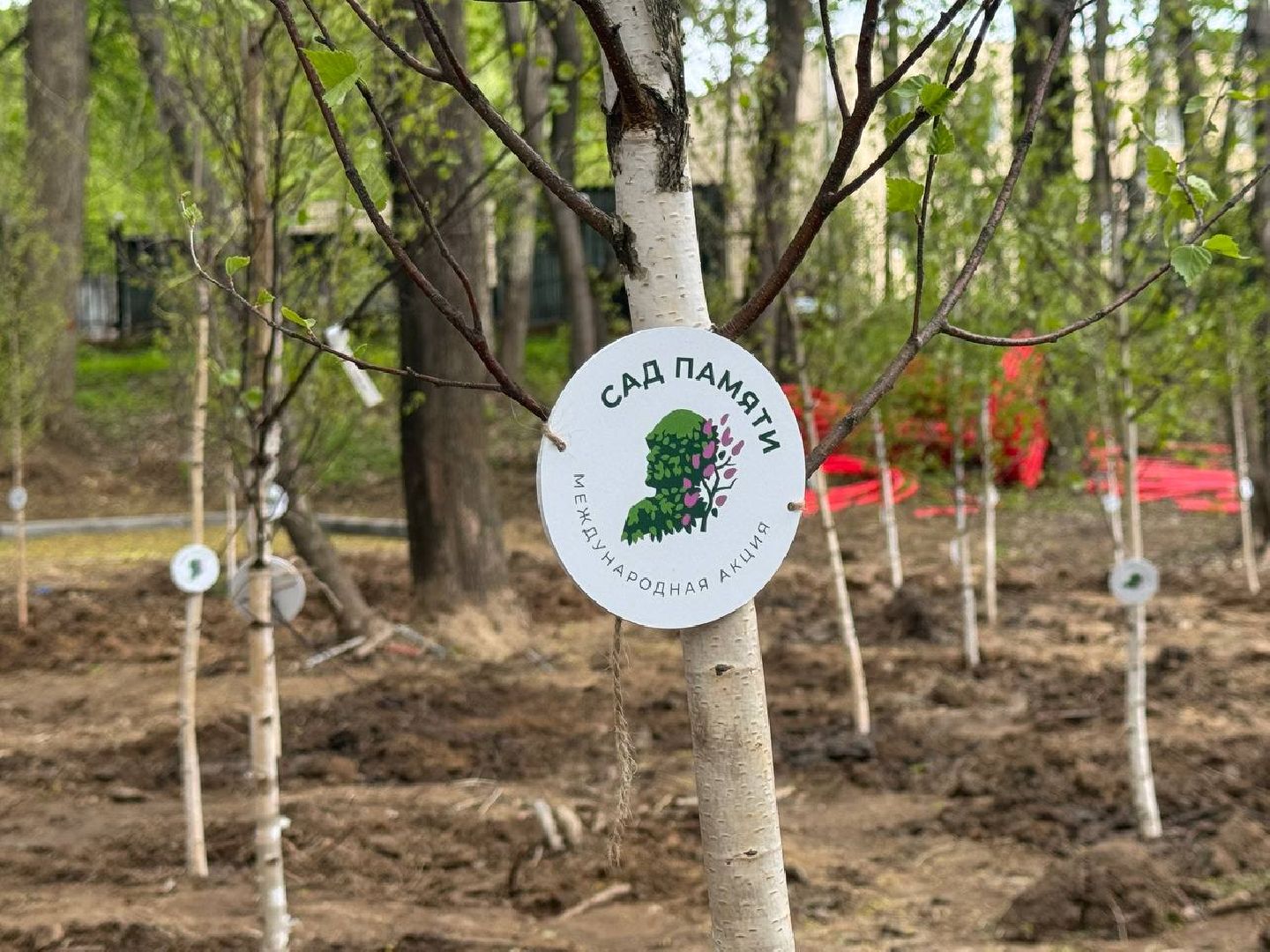 сад памяти, акция, посадка деревьев, кучинский лесопарк,