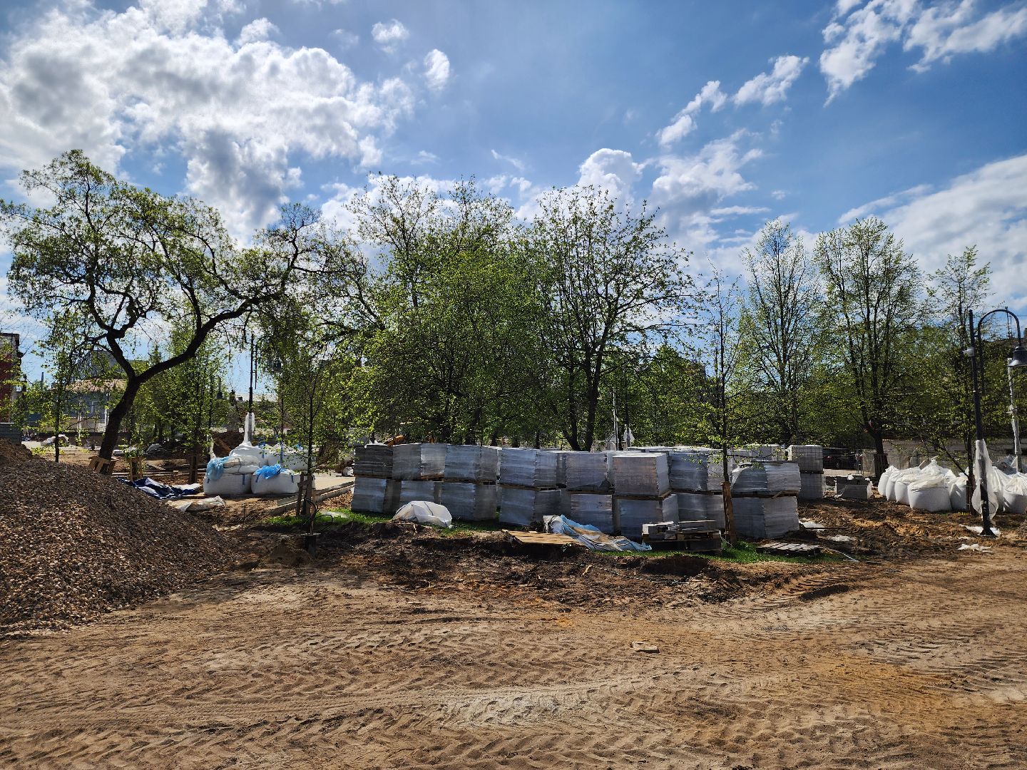 Ногинск, Благоустройство , Ремонт, Жители , Растения ,