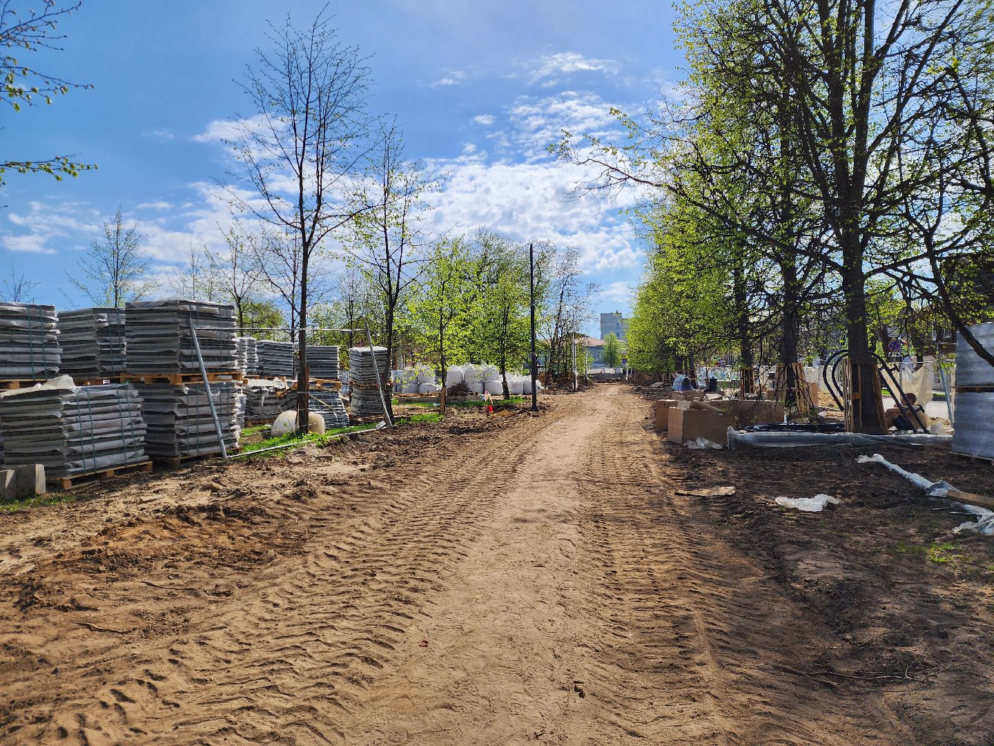 Ногинск, Благоустройство , Ремонт, Жители , Растения ,