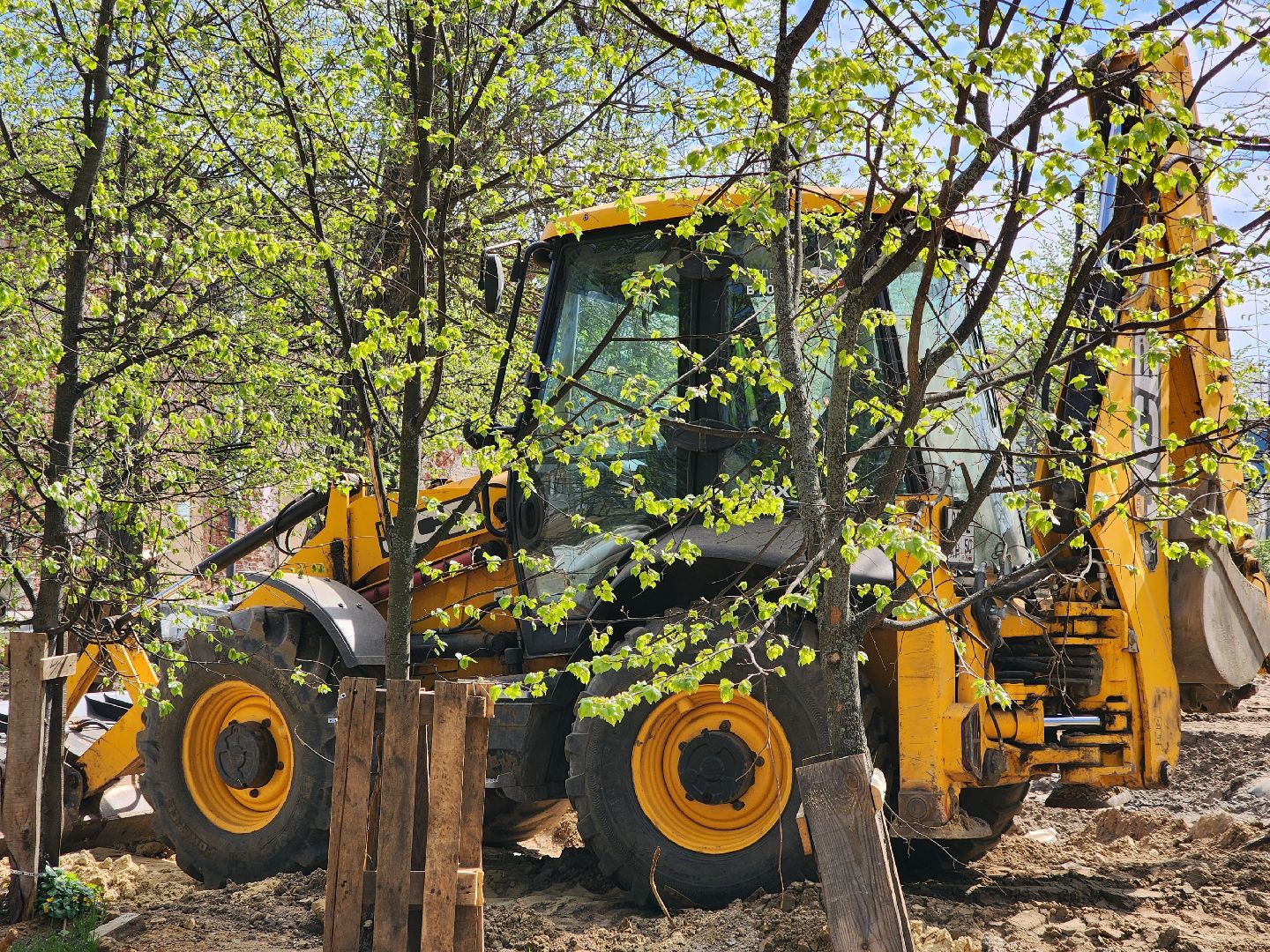 Ногинск, Благоустройство , Ремонт, Жители , Растения ,
