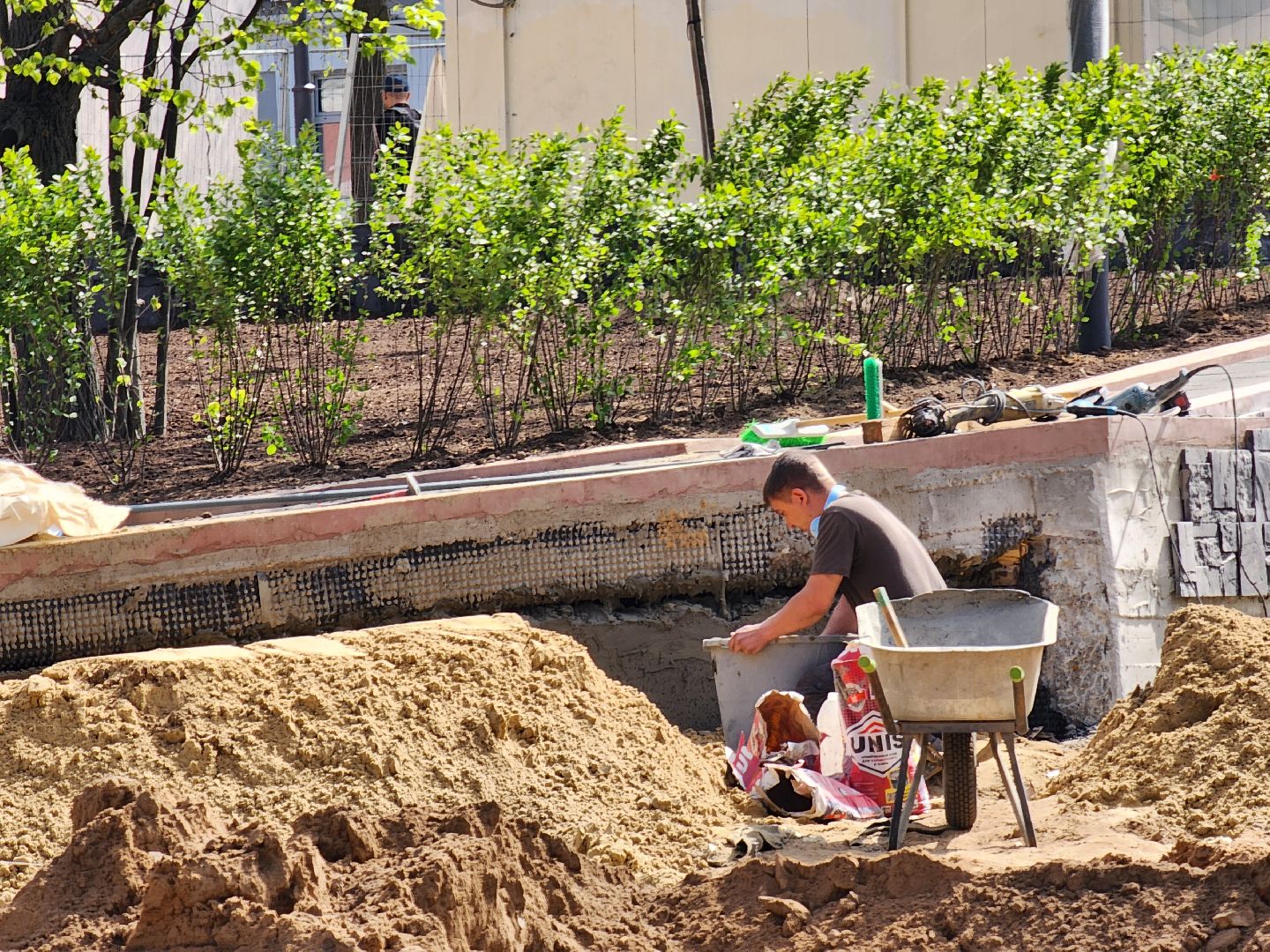 Ногинск, Благоустройство , Ремонт, Жители , Растения ,