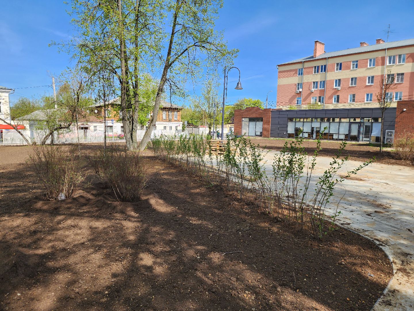 Ногинск, Благоустройство , Ремонт, Жители , Растения ,