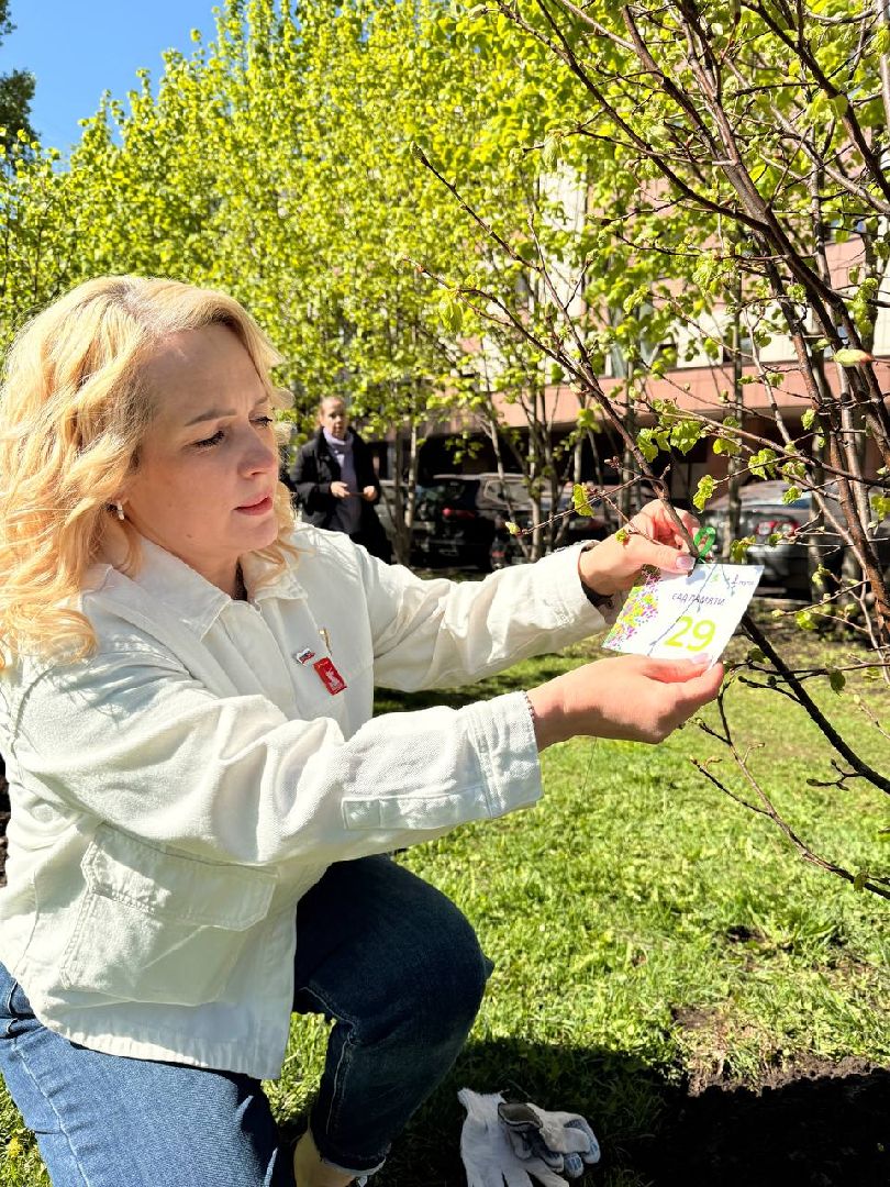 Реутов , Сад памяти, Посадка деревьев , Липы, Яблони,Черемуха,  Береза,