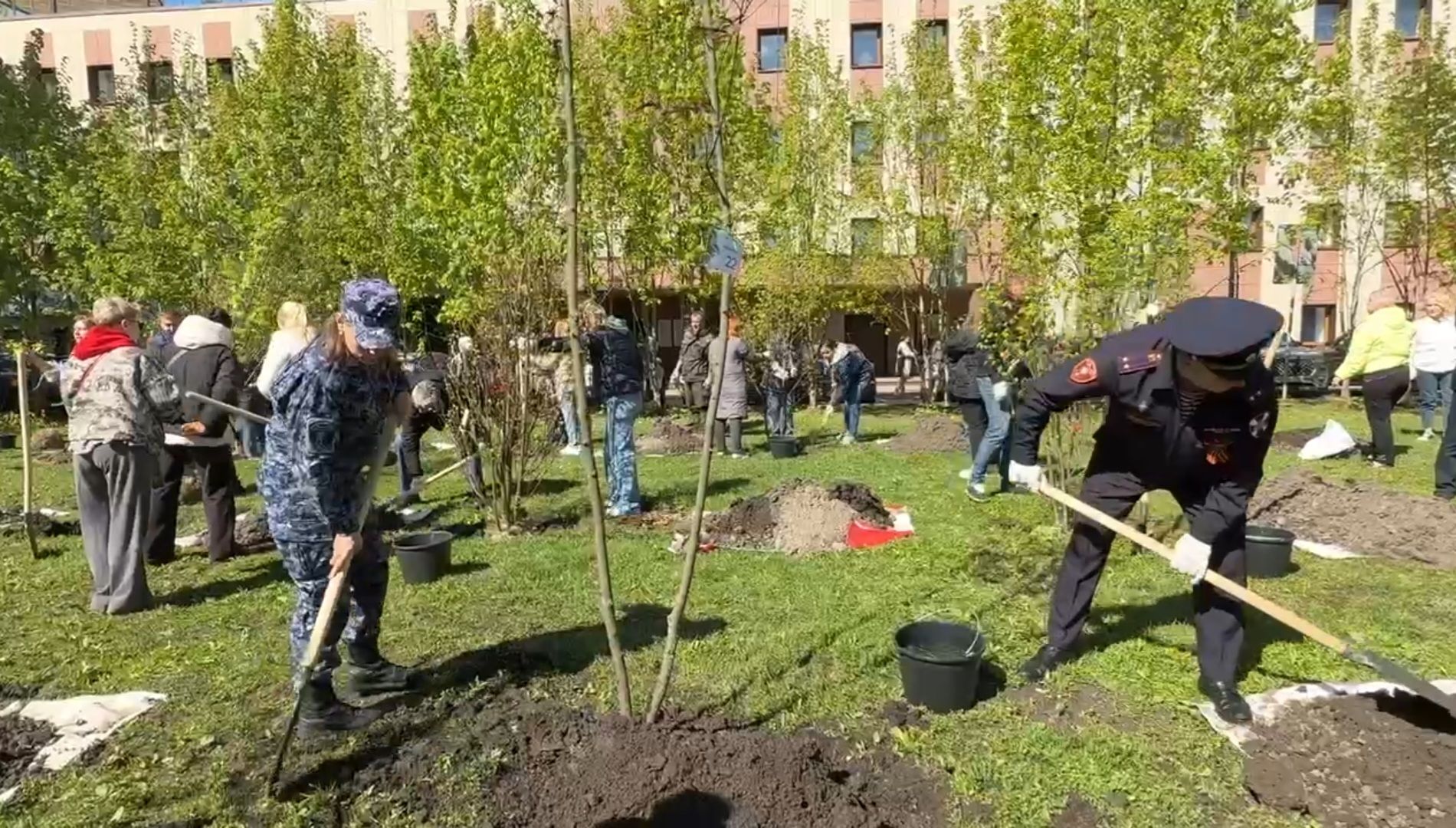 Реутов , Сад памяти, Посадка деревьев , Липы, Яблони,Черемуха,  Береза,