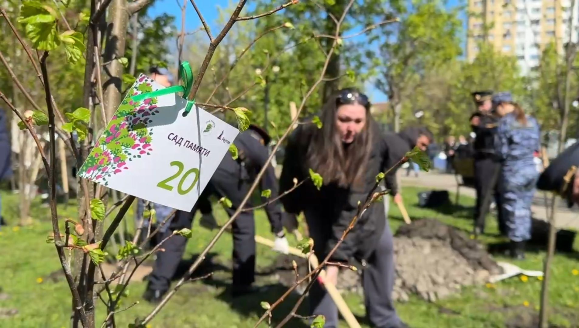 Реутов , Сад памяти, Посадка деревьев , Липы, Яблони,Черемуха,  Береза,