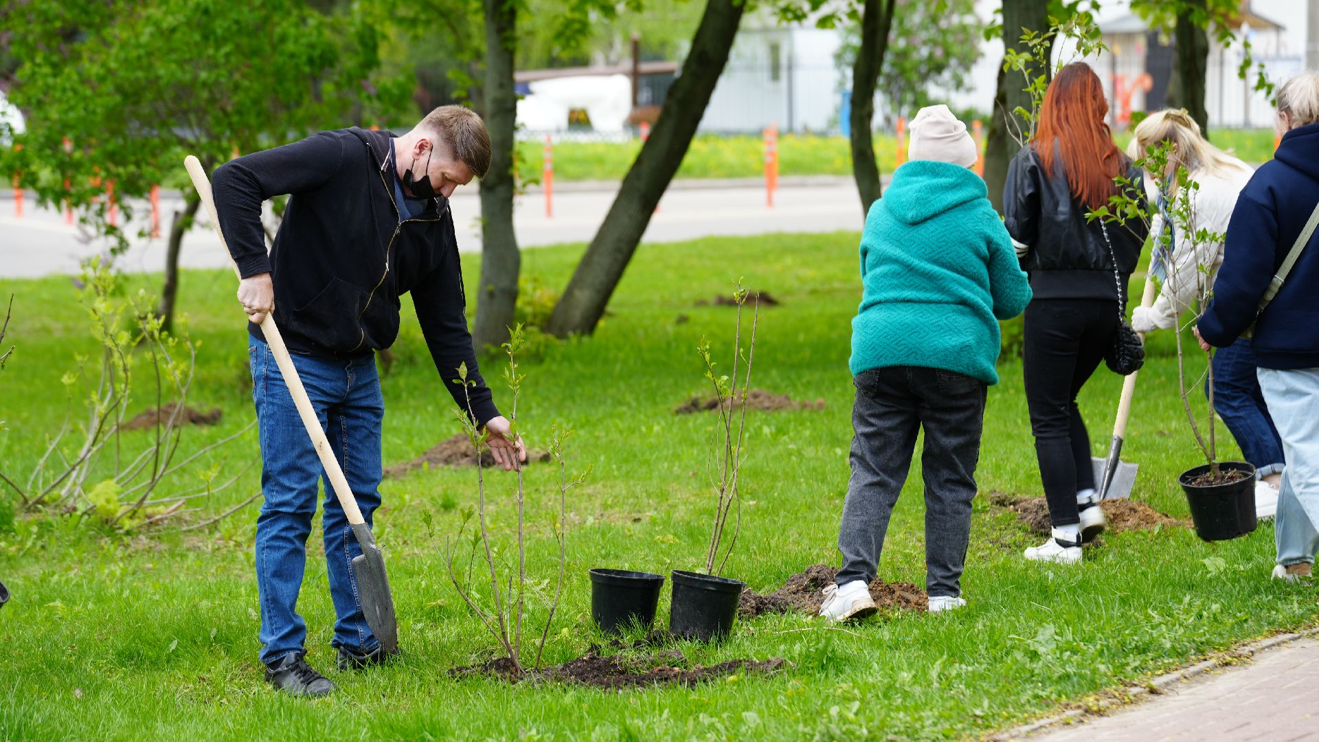 сад памяти, сирень,