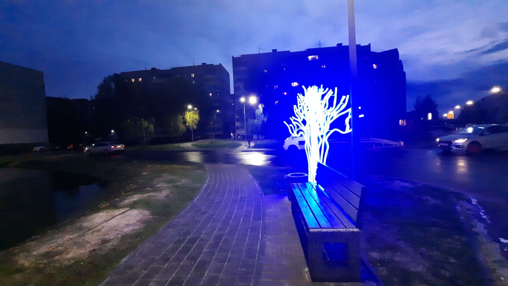 сказочный лес, Шатура, иллюминация, перемены