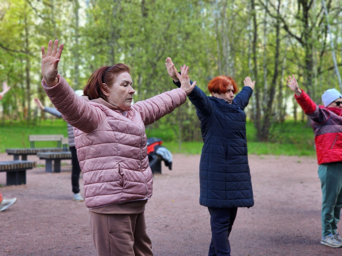 фрязино, лесопарк, гимнастика, физкультура,