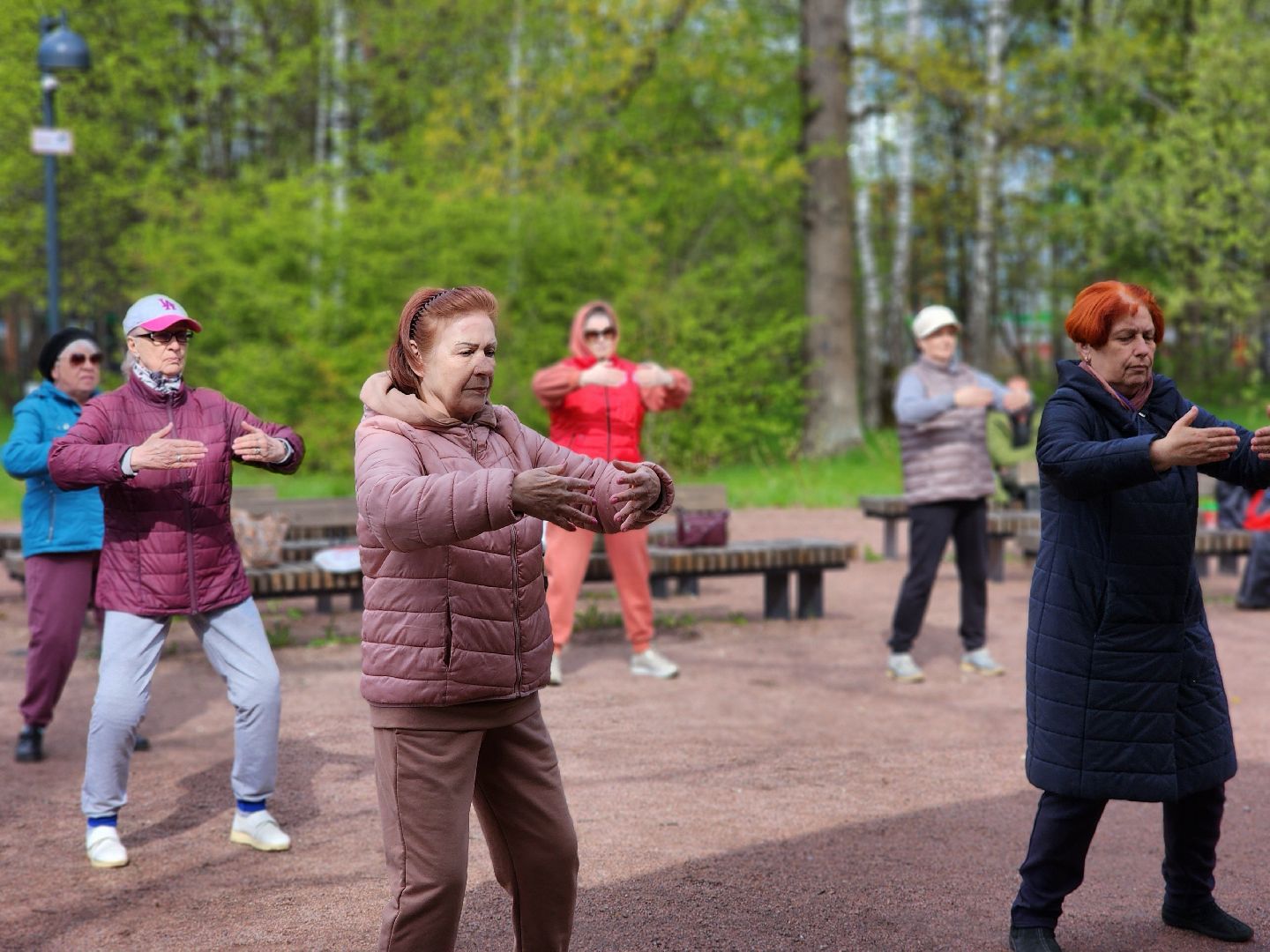 фрязино, лесопарк, гимнастика, физкультура,